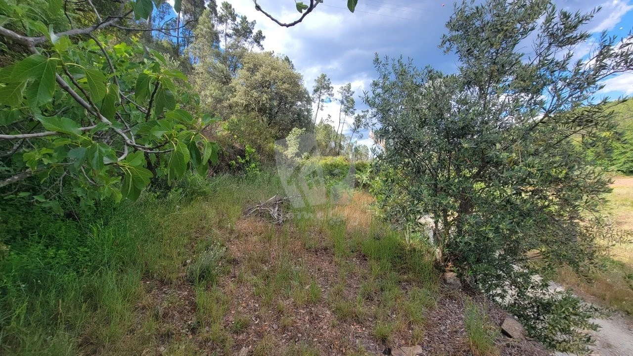 Terreno Agricola ou Rústico para Venda em Sarzedas Foto 21