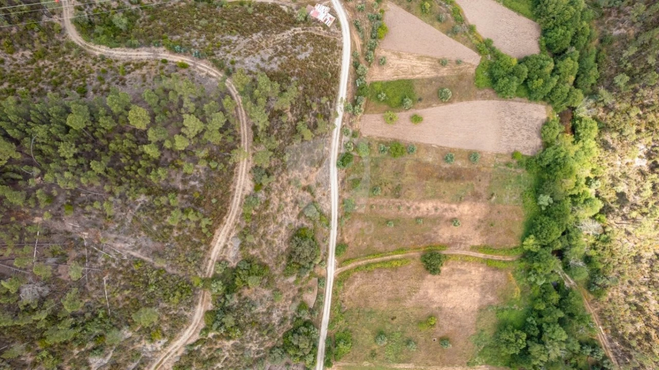 Terreno Agricola ou Rústico para Venda em Sarzedas Foto 34