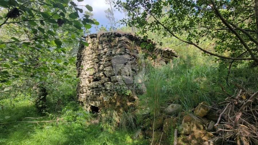 Terreno Agricola ou Rústico para Venda em Sarzedas Foto 4