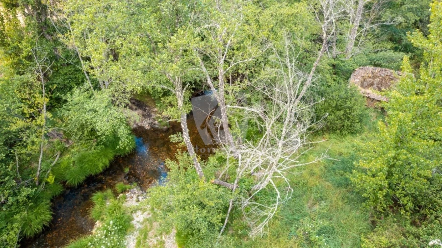 Terreno Agricola ou Rústico para Venda em Sarzedas Foto 37