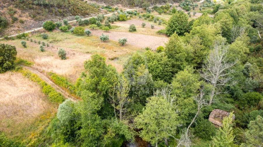Terreno Agricola ou Rústico para Venda em Sarzedas Foto 2