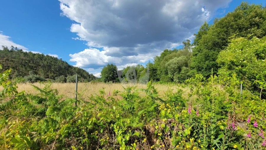 Terreno Agricola ou Rústico para Venda em Sarzedas Foto 10