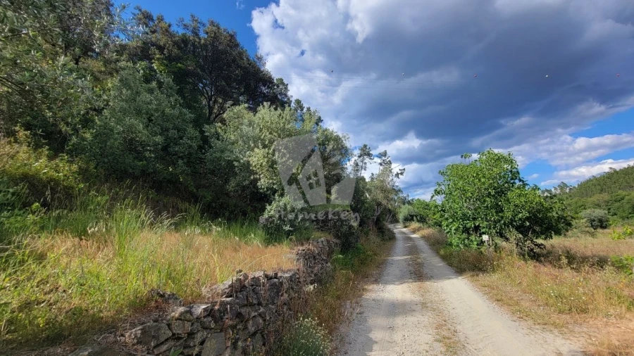Terreno Agricola ou Rústico para Venda em Sarzedas Foto 16