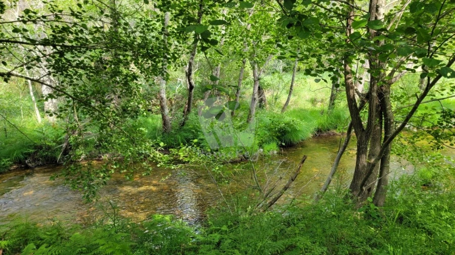 Terreno Agricola ou Rústico para Venda em Sarzedas Foto 33