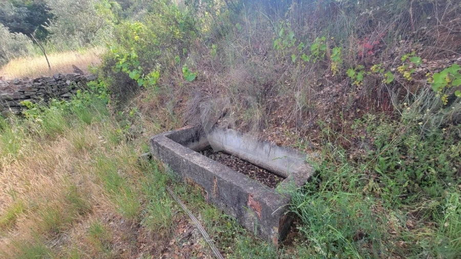 Terreno Agricola ou Rústico para Venda em Sarzedas Foto 26