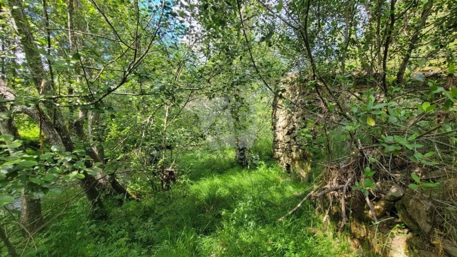 Terreno Agricola ou Rústico para Venda em Sarzedas Foto 7