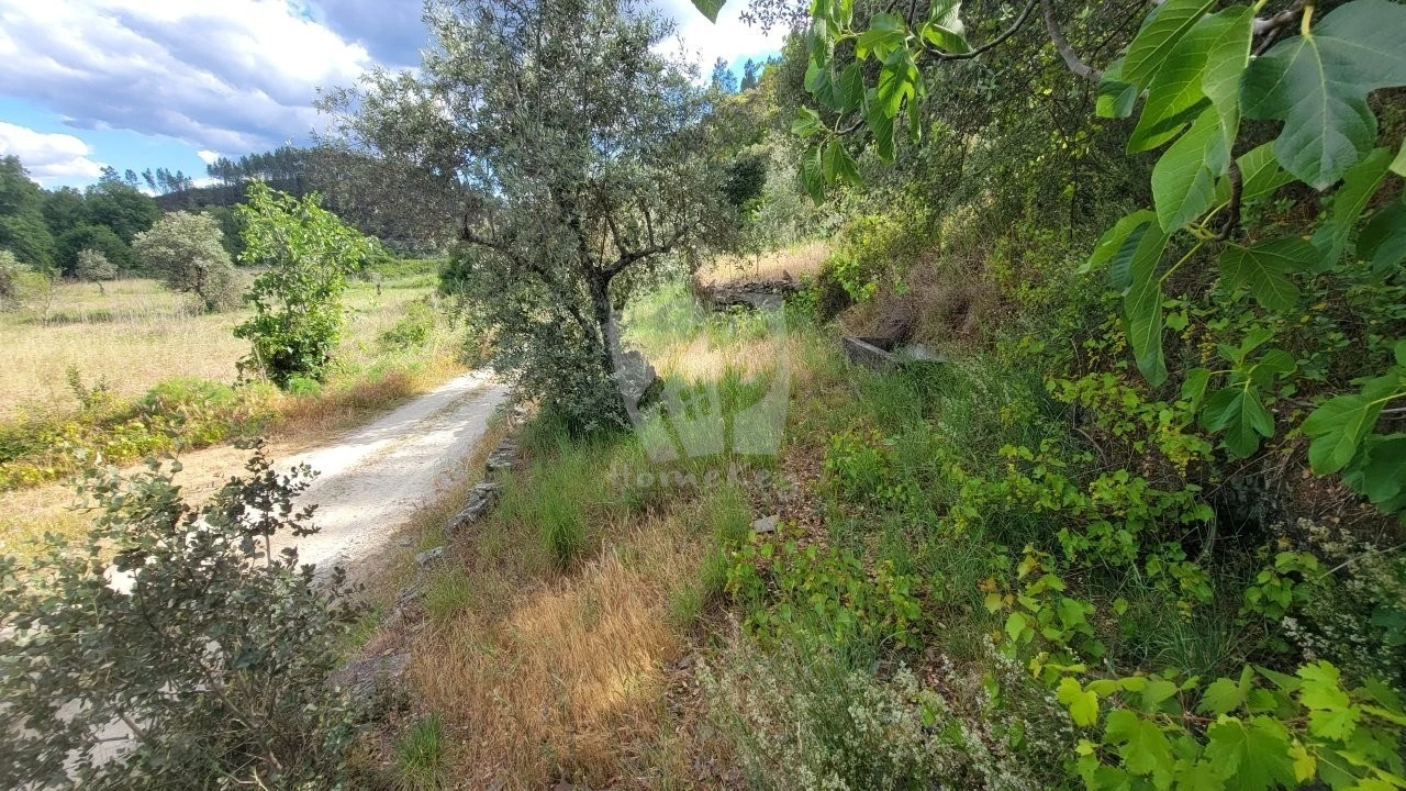 Terreno Agricola ou Rústico para Venda em Sarzedas Foto 24