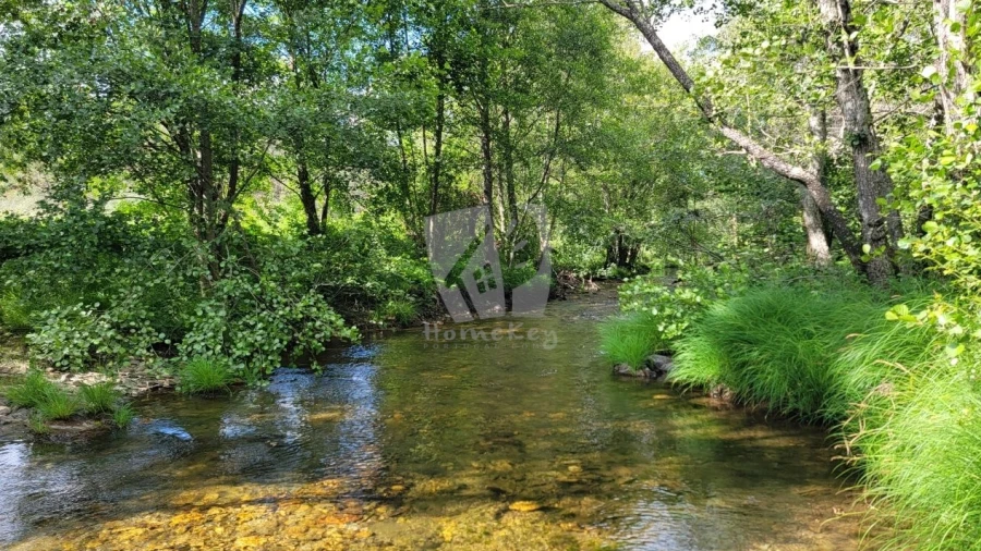 Terreno Agricola ou Rústico para Venda em Sarzedas