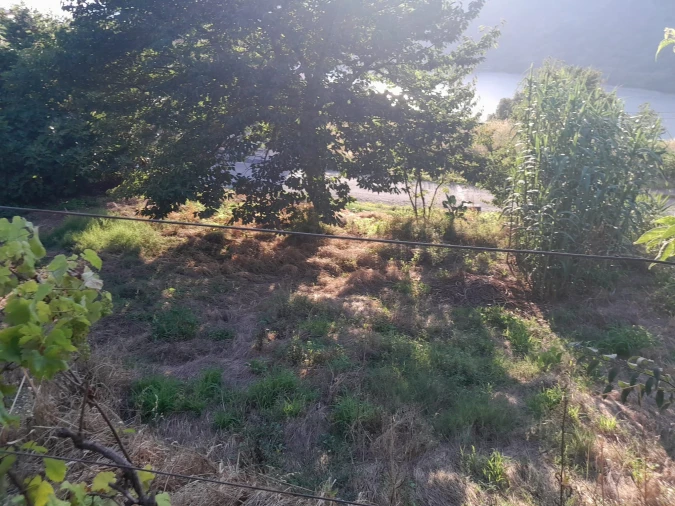 Apartamento para Venda em Anreade e São Romão de Aregos Foto 5