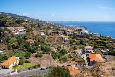 Terreno para Venda em Santa Cruz