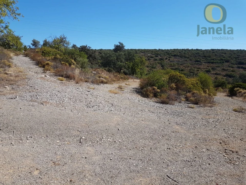 Terreno Agricola ou Rústico para Venda em Moncarapacho e Fuseta Foto 4