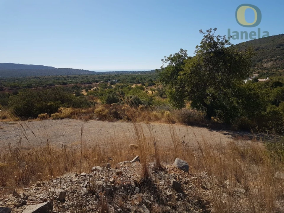 Terreno Agricola ou Rústico para Venda em Moncarapacho e Fuseta Foto 5