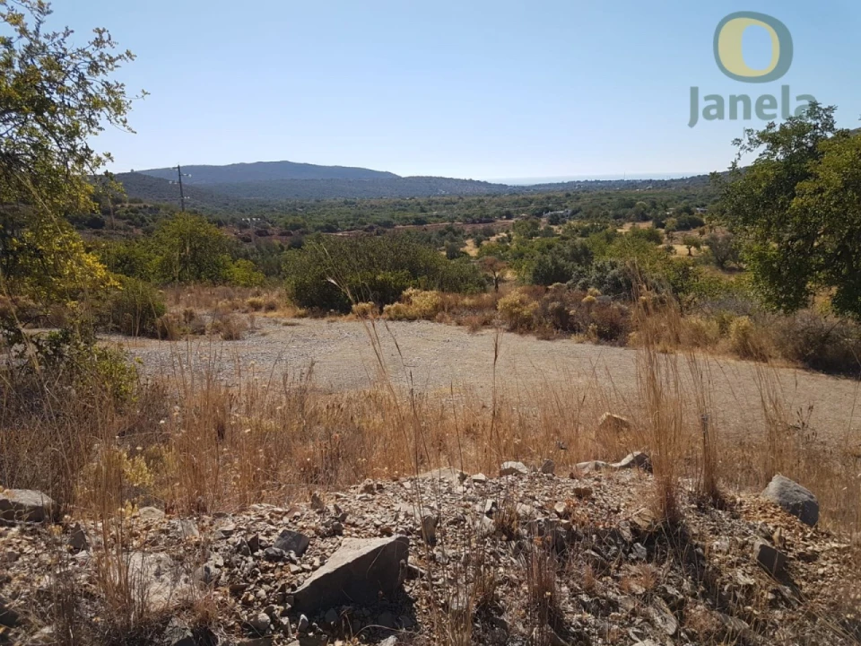 Terreno Agricola ou Rústico para Venda em Moncarapacho e Fuseta Foto 11