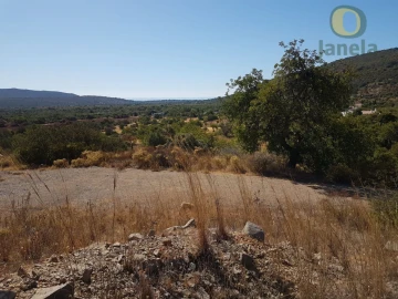 Terreno Agricola ou Rústico para Venda em Moncarapacho e Fuseta