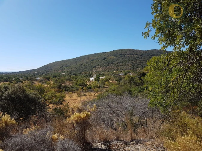 Terreno Agricola ou Rústico para Venda em Moncarapacho e Fuseta Foto 6