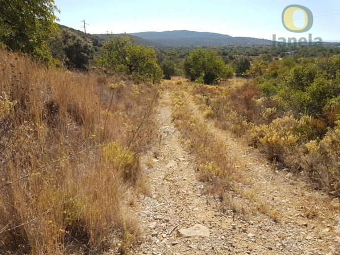 Terreno Agricola ou Rústico para Venda em Moncarapacho e Fuseta Foto 9