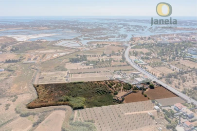 Quinta T10 para Venda em Faro (Sé e São Pedro)