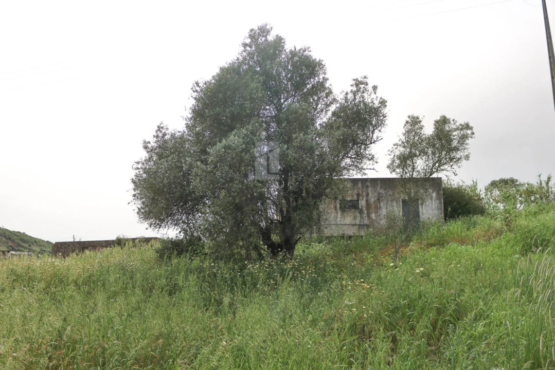 Quinta T7 para Venda em Bensafrim e Barão de São João Foto 70