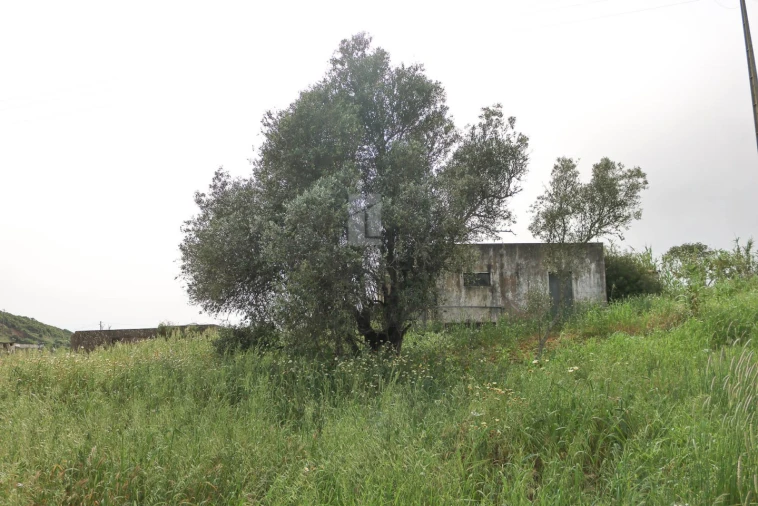 Quinta T7 para Venda em Bensafrim e Barão de São João Foto 70