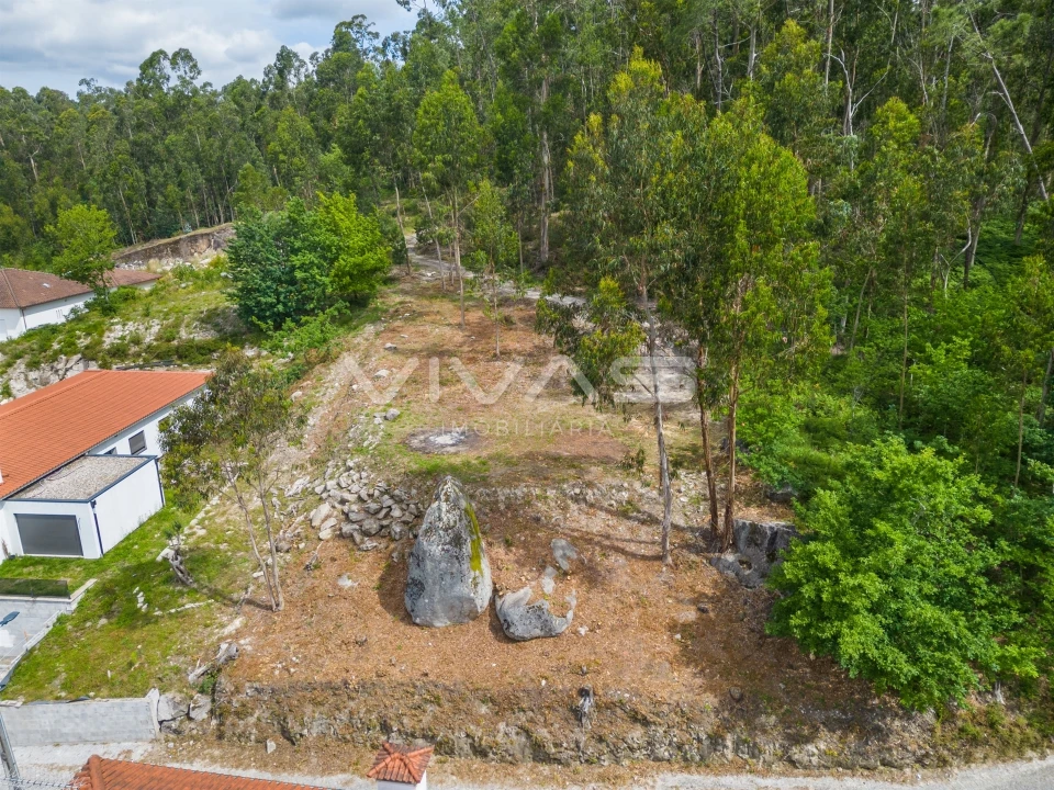 Terreno para Venda em Fiscal Foto 8