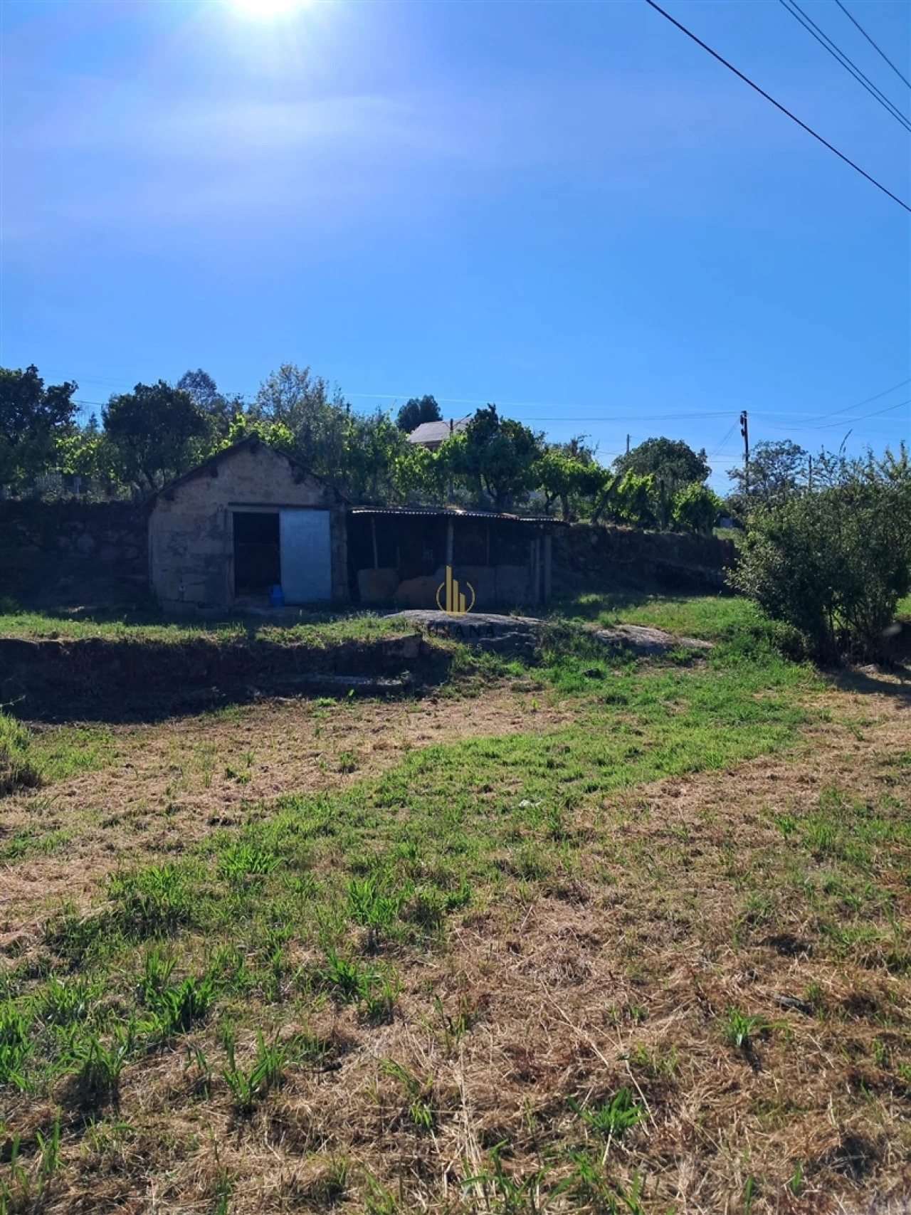 Terreno para Venda em Nelas Foto 5