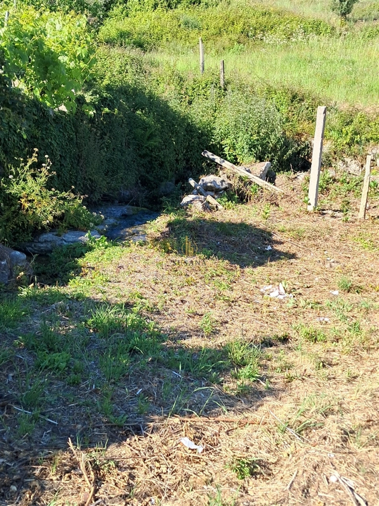 Terreno para Venda em Nelas Foto 4
