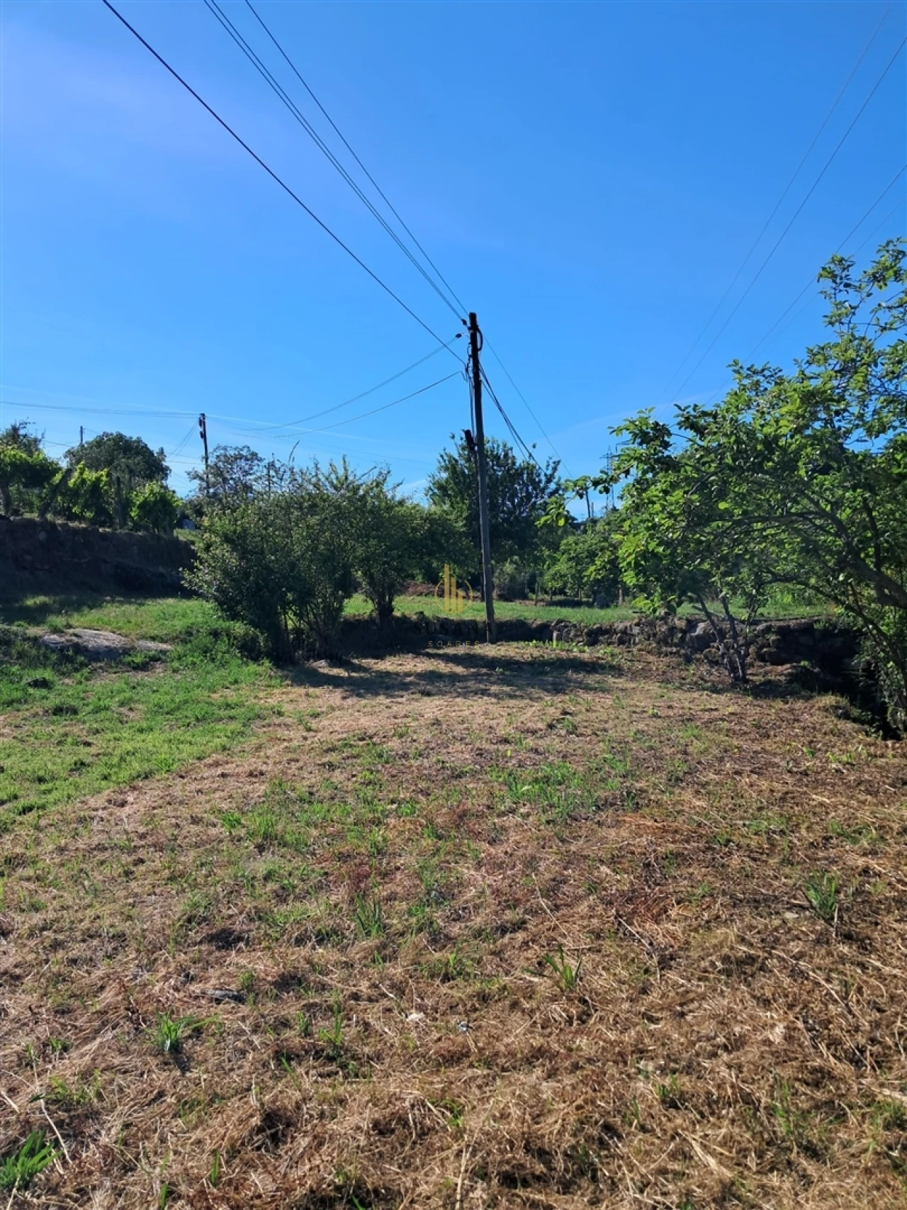 Terreno para Venda em Nelas Foto 12