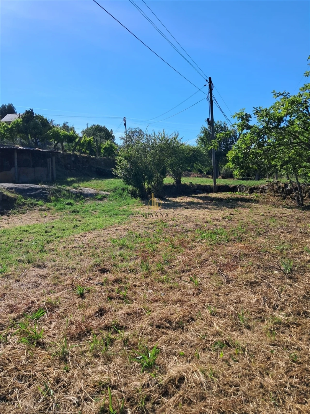Terreno para Venda em Nelas Foto 17