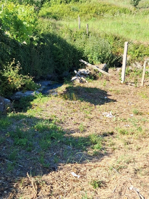 Terreno para Venda em Nelas