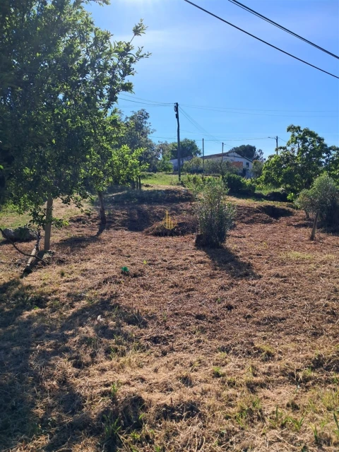 Terreno para Venda em Nelas