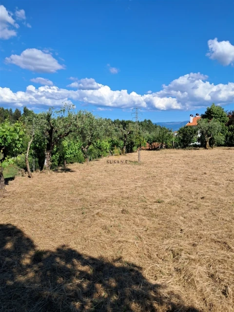 Terreno para Venda em Nelas