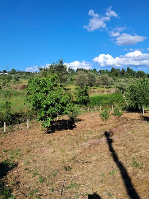 Terreno para Venda em Nelas
