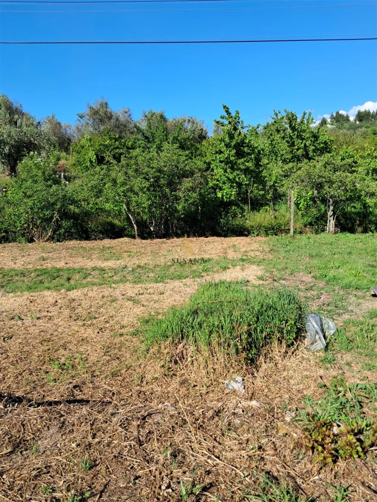 Terreno para Venda em Nelas Foto 11