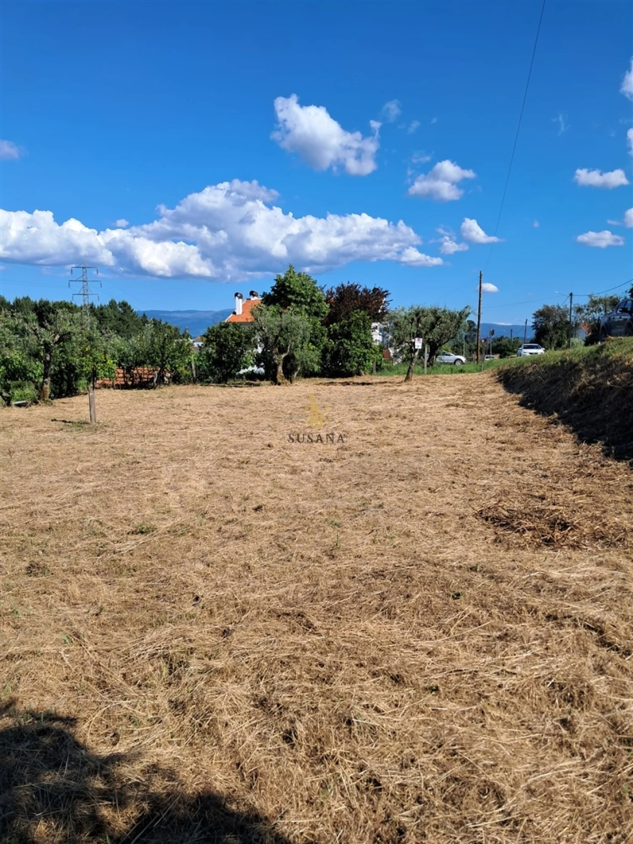 Terreno para Venda em Nelas Foto 1