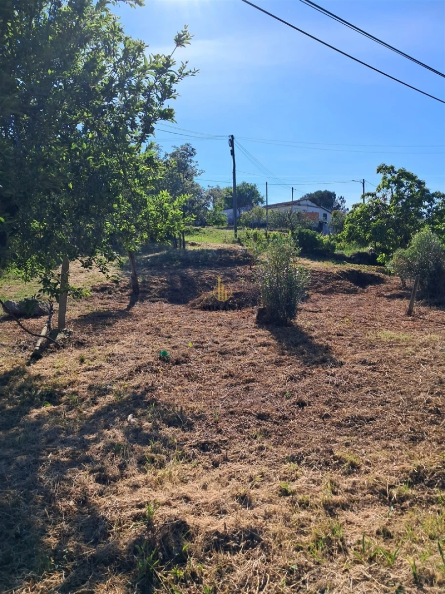 Terreno para Venda em Nelas Foto 9