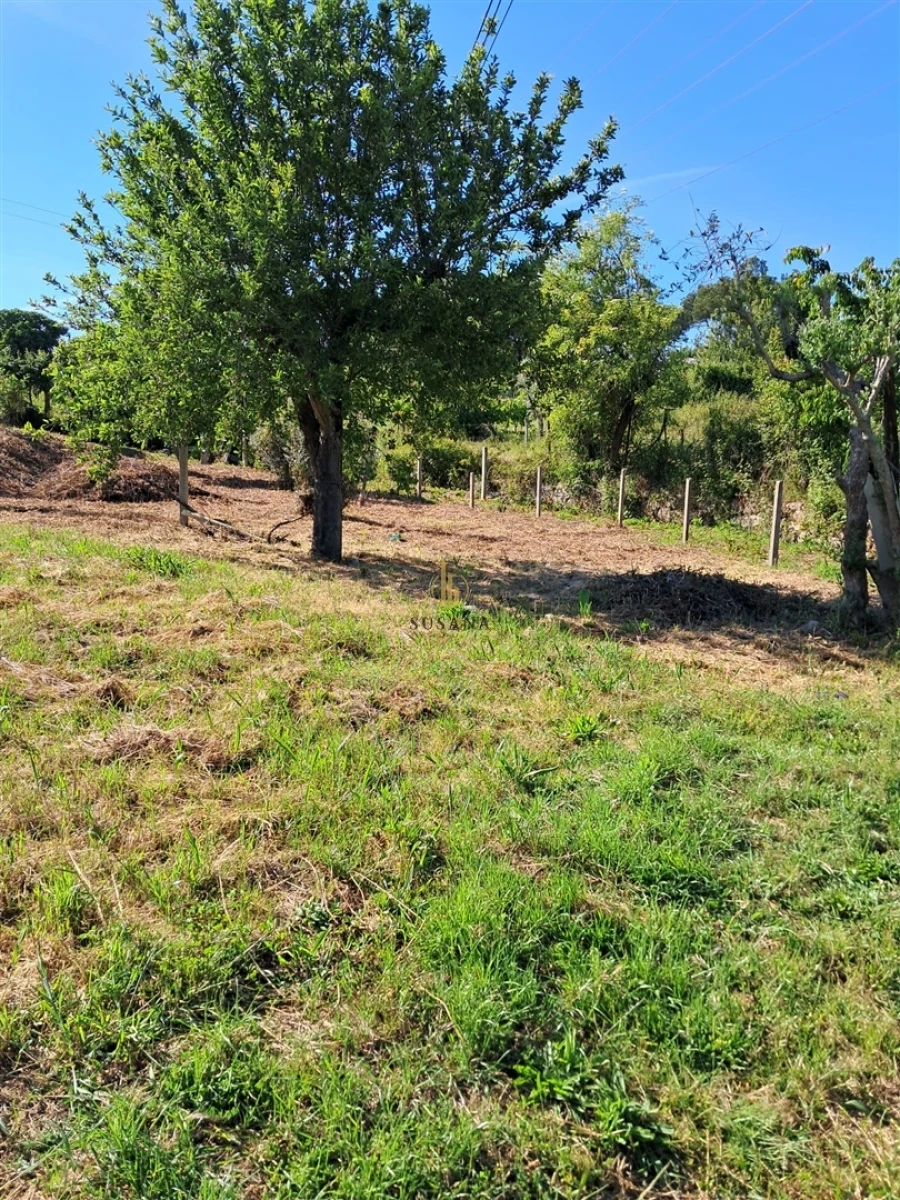 Terreno para Venda em Nelas Foto 10