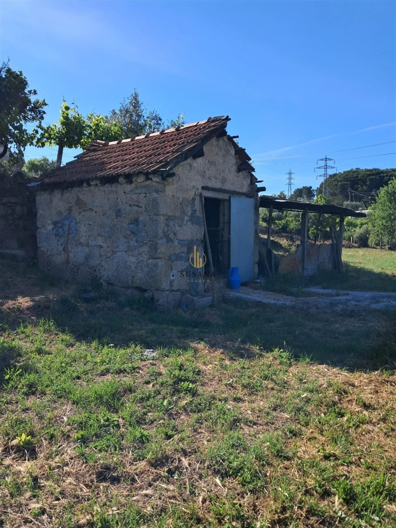Terreno para Venda em Nelas Foto 15