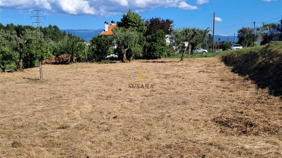 Terreno para Venda em Nelas