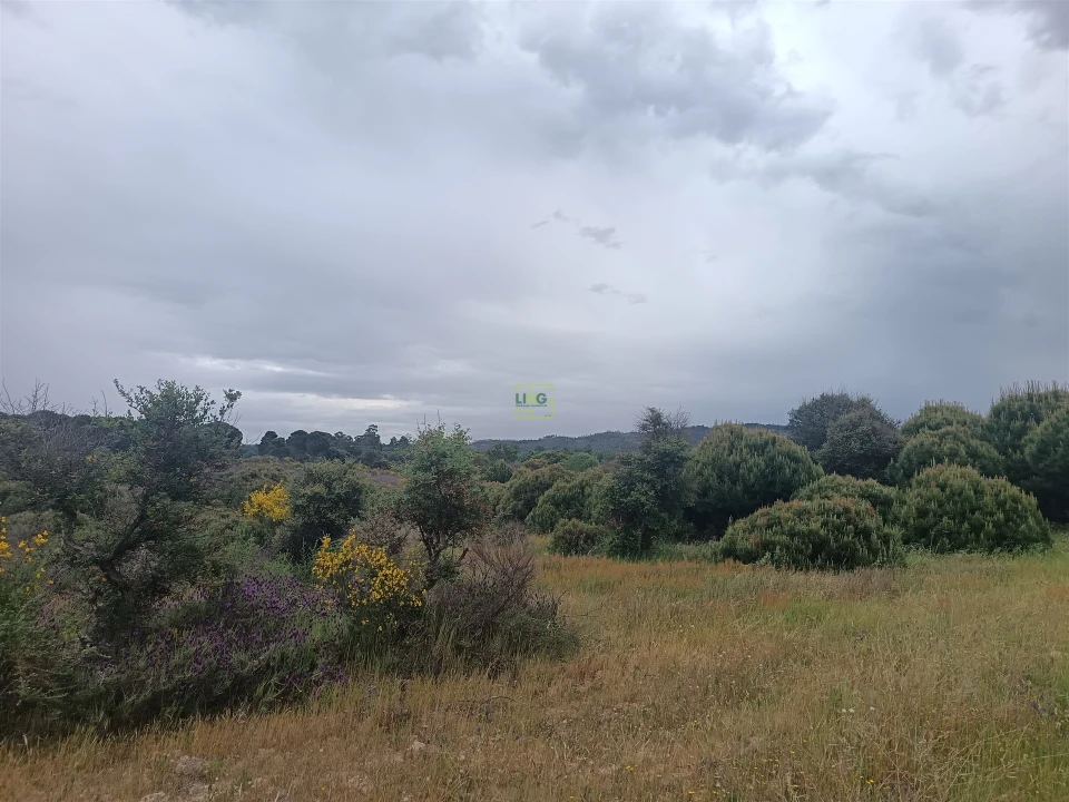 Terreno Agricola ou Rústico para Venda em Aldeia do Bispo, Águas e Aldeia de João Pires Foto 16