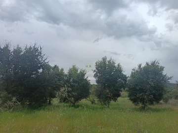 Terreno Agricola ou Rústico para Venda em Aldeia do Bispo, Águas e Aldeia de João Pires
