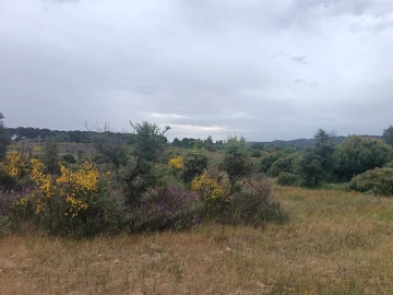 Terreno Agricola ou Rústico para Venda em Aldeia do Bispo, Águas e Aldeia de João Pires