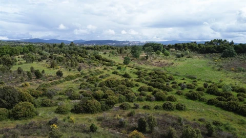 Terreno Agricola ou Rústico para Venda em Aldeia do Bispo, Águas e Aldeia de João Pires