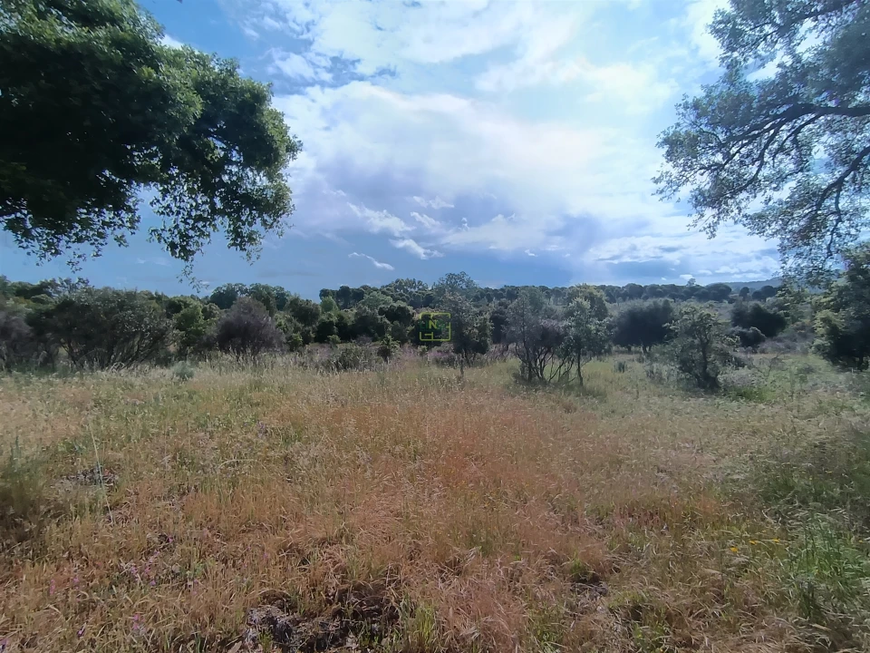 Terreno Agricola ou Rústico para Venda em Aldeia do Bispo, Águas e Aldeia de João Pires Foto 3