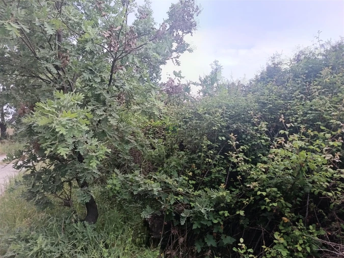 Terreno Agricola ou Rústico para Venda em Aldeia do Bispo, Águas e Aldeia de João Pires Foto 21