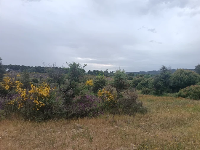 Terreno Agricola ou Rústico para Venda em Aldeia do Bispo, Águas e Aldeia de João Pires Foto 15