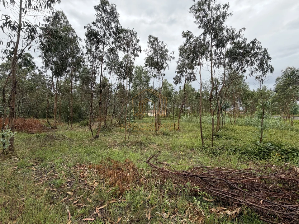 Terreno para Venda em Moinhos de Gandara Foto 9