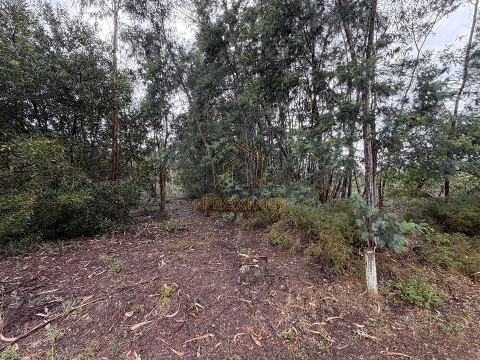 Terreno para Venda em Moinhos de Gandara Foto 11