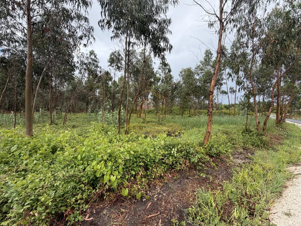 Terreno para Venda em Moinhos de Gandara Foto 7