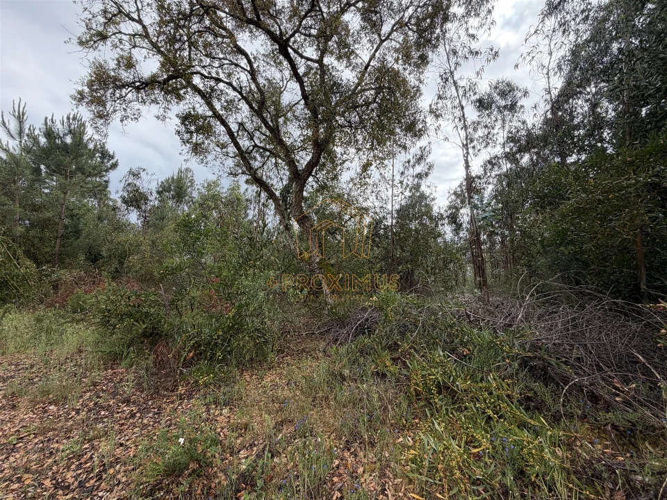 Terreno para Venda em Moinhos de Gandara Foto 12