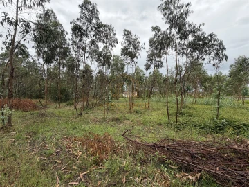 Terreno para Venda em Moinhos de Gandara